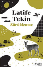 Picture of Sürüklenme