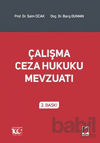 Picture of Çalışma Ceza Hukuku Mevzuatı