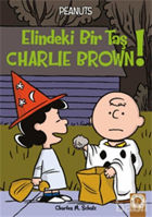 Picture of Elindeki Bir Taş Charlie Brown!