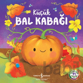 Picture of Küçük Bal Kabağı